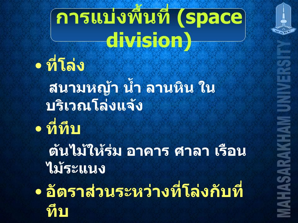 การแบ่งพื้นที่ (space division)