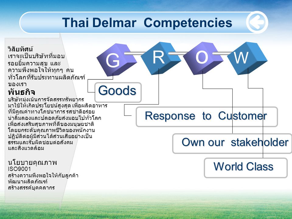 Thai Delmar Competencies