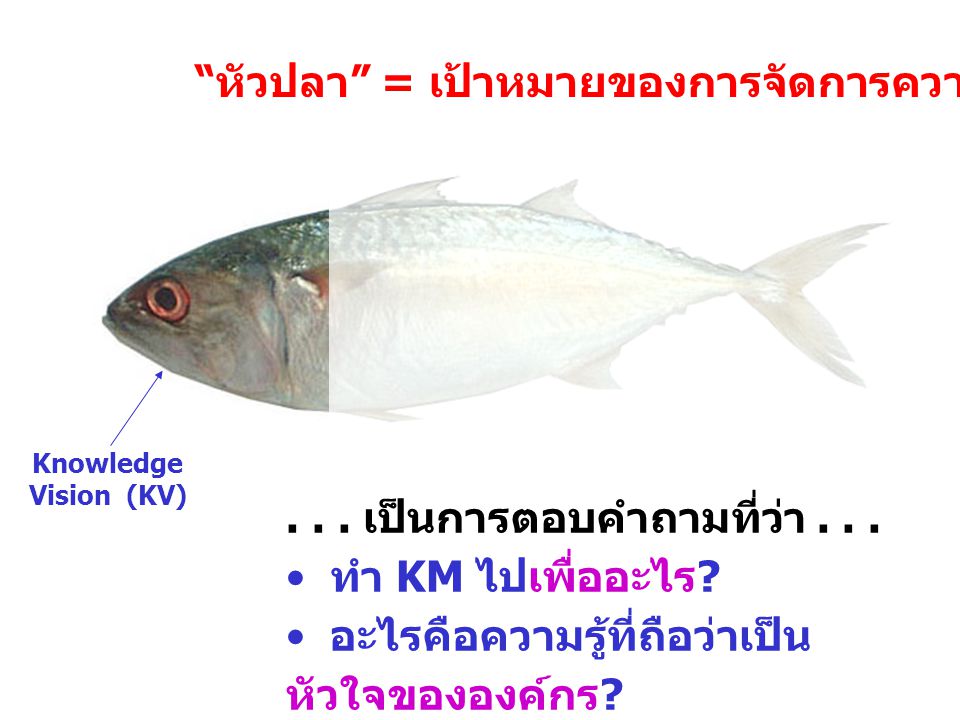 หัวปลา = เป้าหมายของการจัดการความรู้