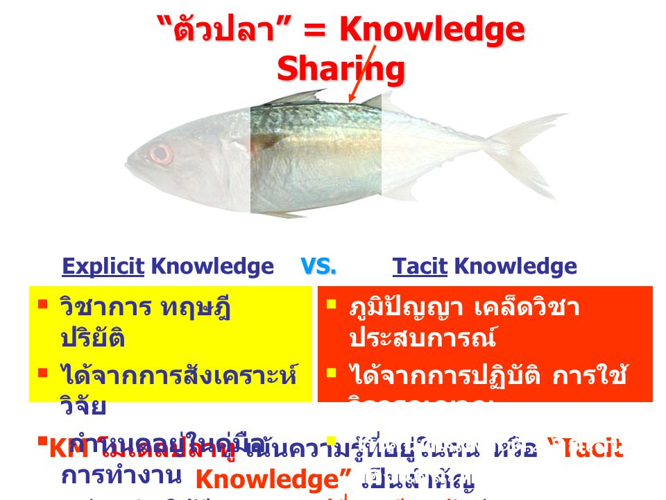 ตัวปลา = Knowledge Sharing