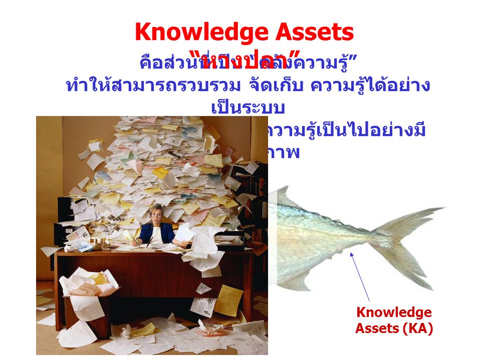 Knowledge Assets หางปลา