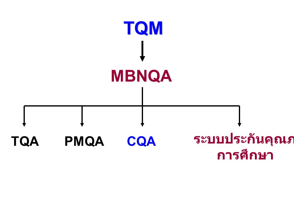 TQM MBNQA ระบบประกันคุณภาพ การศึกษา TQA PMQA CQA