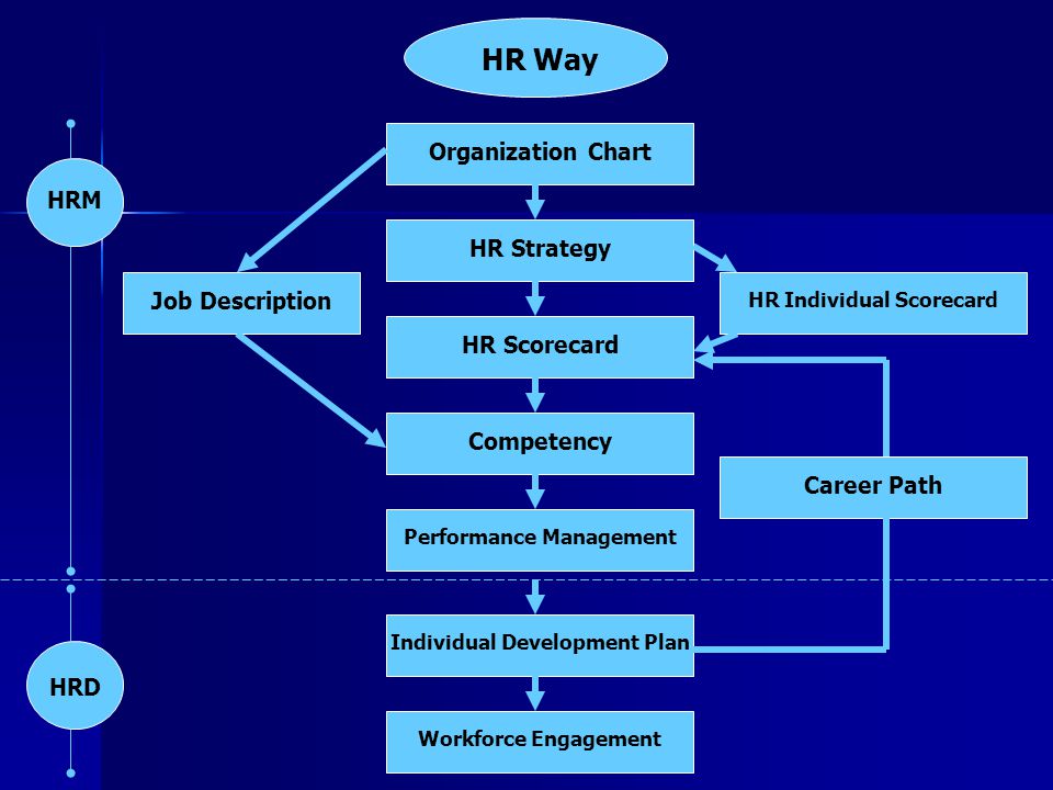 HR Way Organization Chart HRM HR Strategy Job Description HR Scorecard
