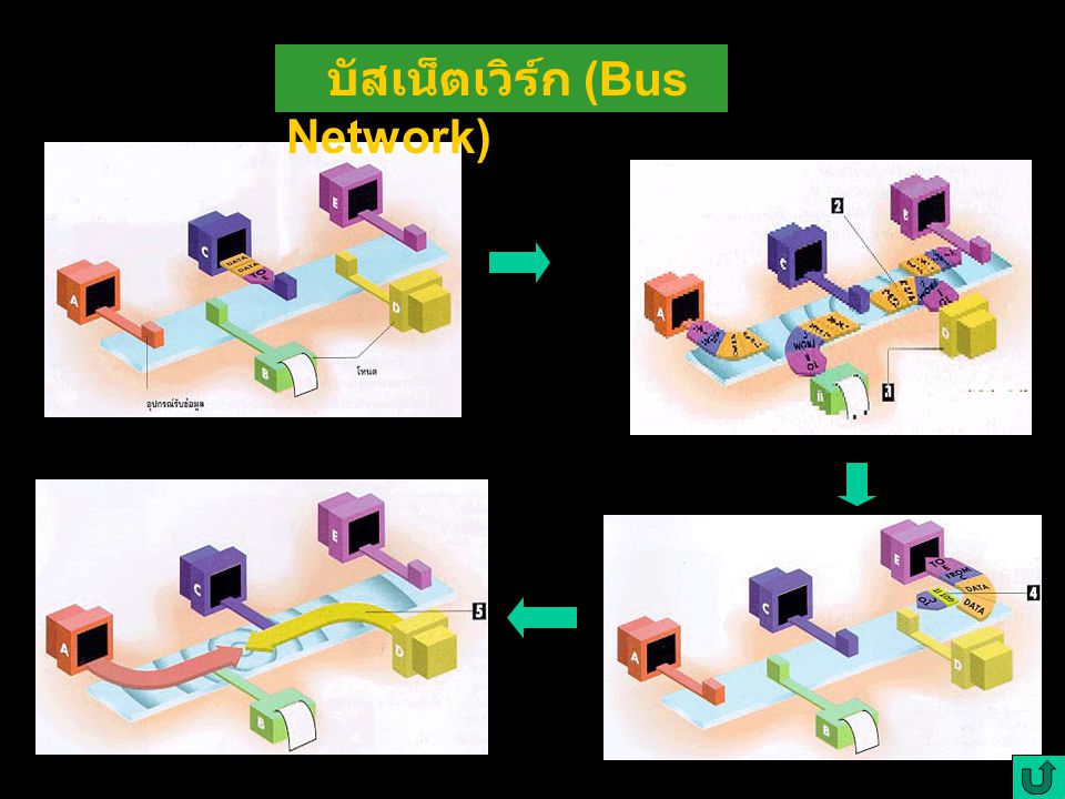 บัสเน็ตเวิร์ก (Bus Network)