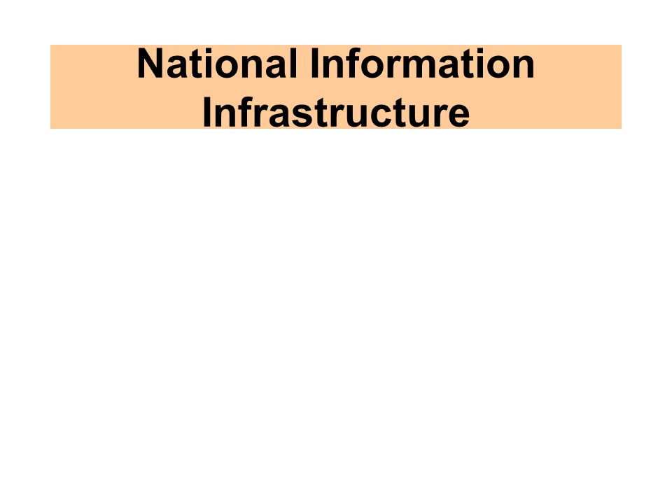 National Information Infrastructure