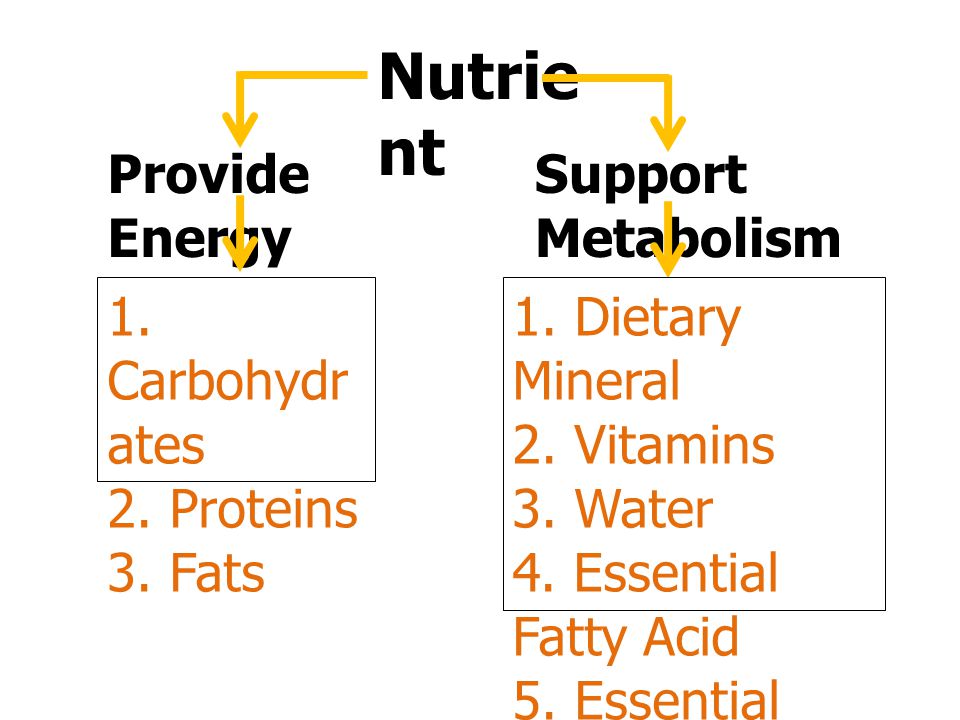 Nutrient Provide Energy Support Metabolism 1. Carbohydrates