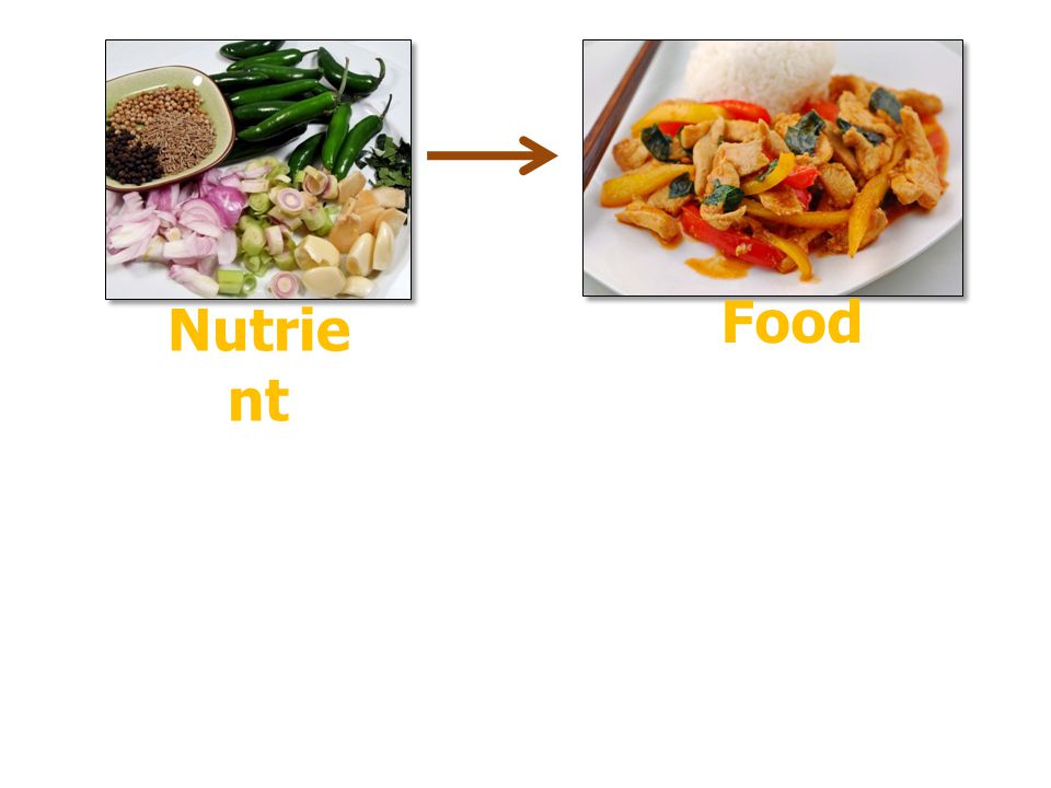 Food Nutrient