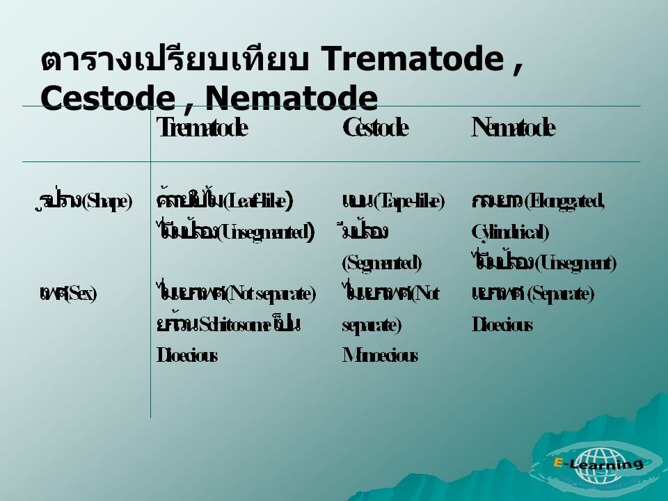 ตารางเปรียบเทียบ Trematode , Cestode , Nematode