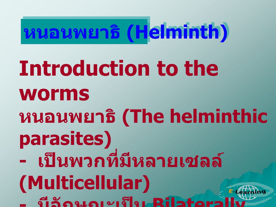 Introduction to the worms