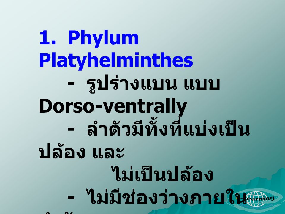 1. Phylum Platyhelminthes