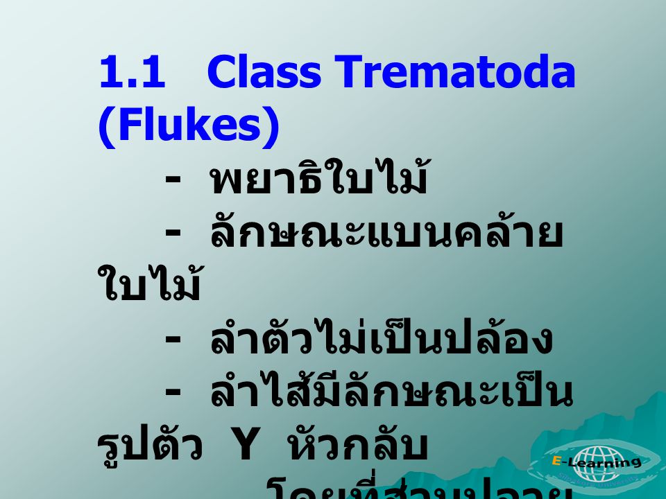 1.1 Class Trematoda (Flukes)