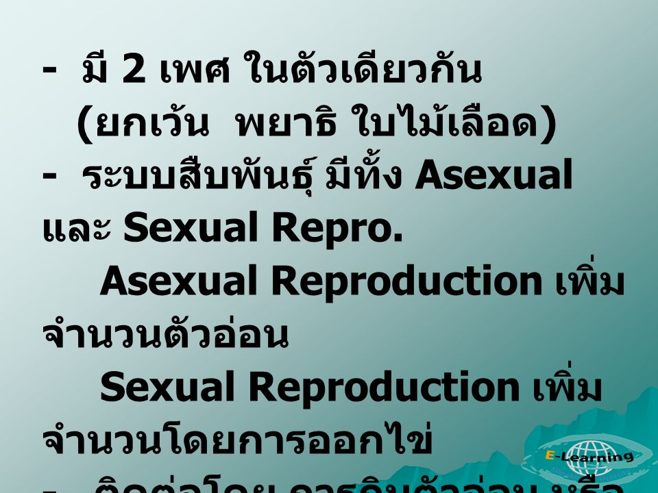 - มี 2 เพศ ในตัวเดียวกัน (ยกเว้น พยาธิ ใบไม้เลือด) - ระบบสืบพันธุ์ มีทั้ง Asexual และ Sexual Repro.