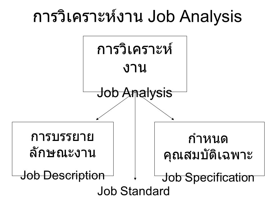 การวิเคราะห์งาน Job Analysis