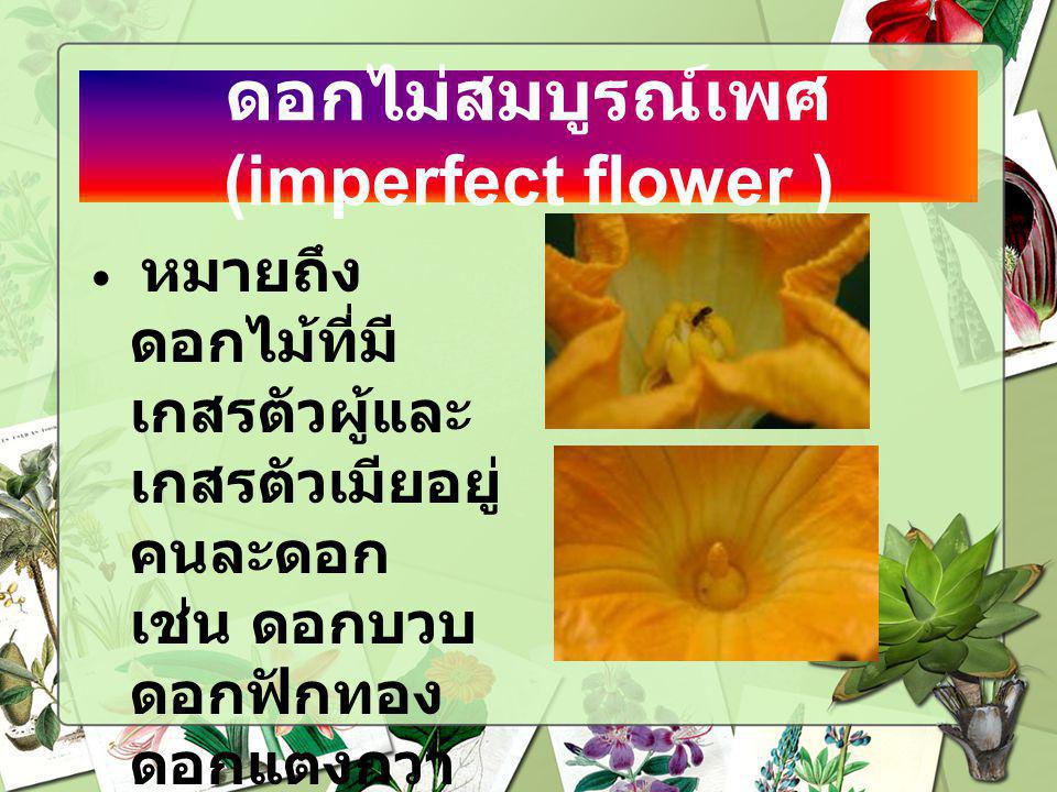 ดอกไม่สมบูรณ์เพศ (imperfect flower )