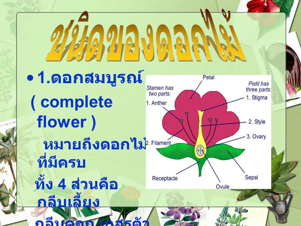 ชนิดของดอกไม้ 1.ดอกสมบูรณ์ ( complete flower ) หมายถึงดอกไม้ที่มีครบ
