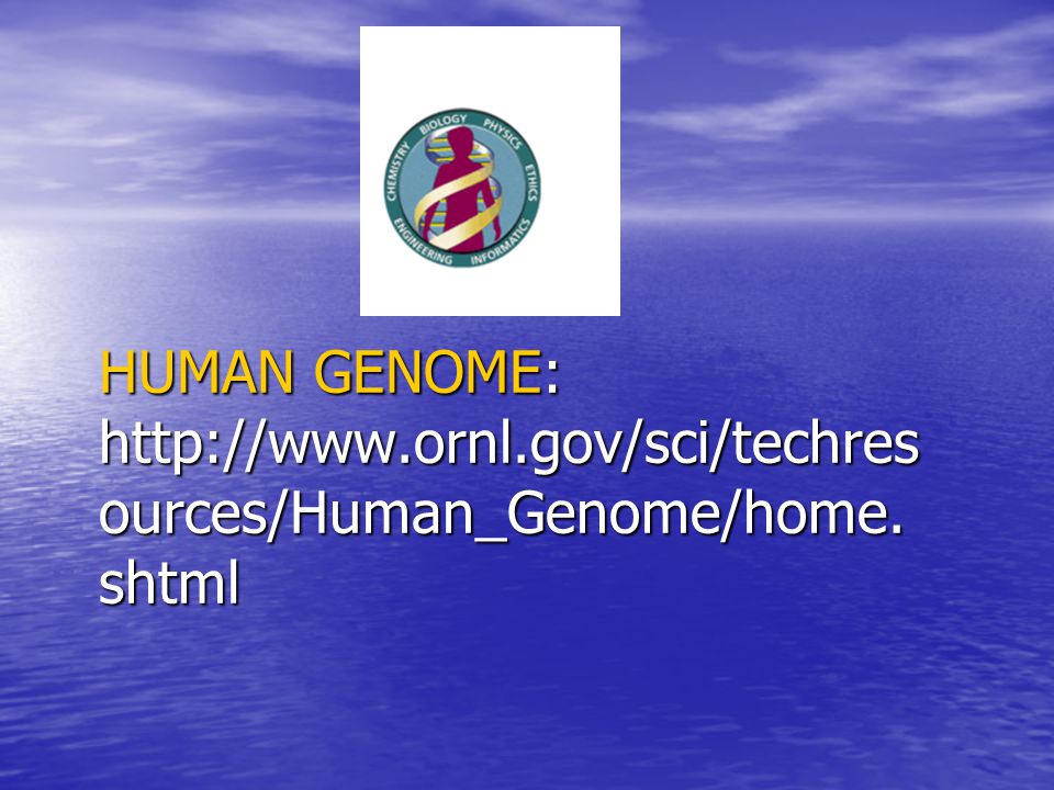 HUMAN GENOME: