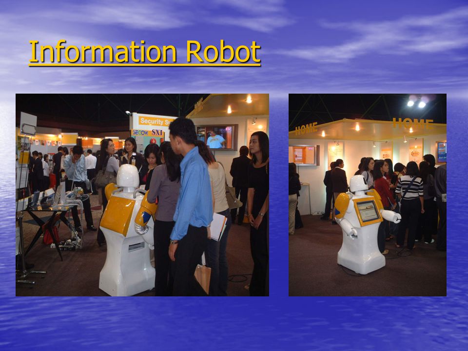 Information Robot