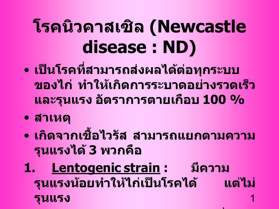 โรคนิวคาสเซิล (Newcastle disease : ND)