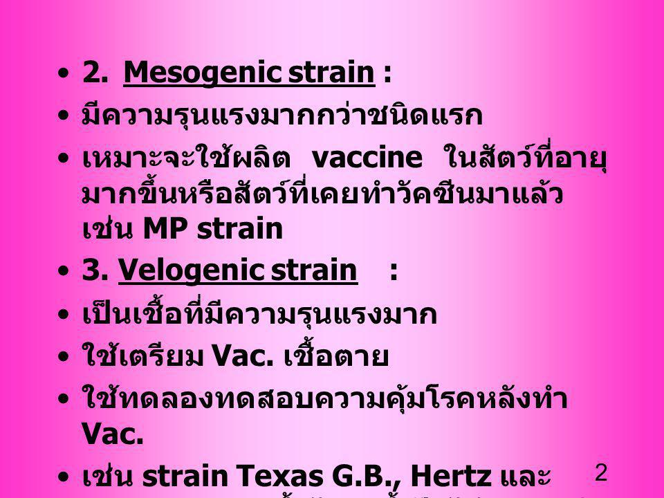 2. Mesogenic strain : มีความรุนแรงมากกว่าชนิดแรก. เหมาะจะใช้ผลิต vaccine ในสัตว์ที่อายุมากขึ้นหรือสัตว์ที่เคยทำวัคซีนมาแล้ว เช่น MP strain.
