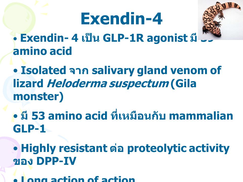 Exendin-4 Exendin- 4 เป็น GLP-1R agonist มี 39 amino acid. Isolated จาก salivary gland venom of lizard Heloderma suspectum (Gila monster)