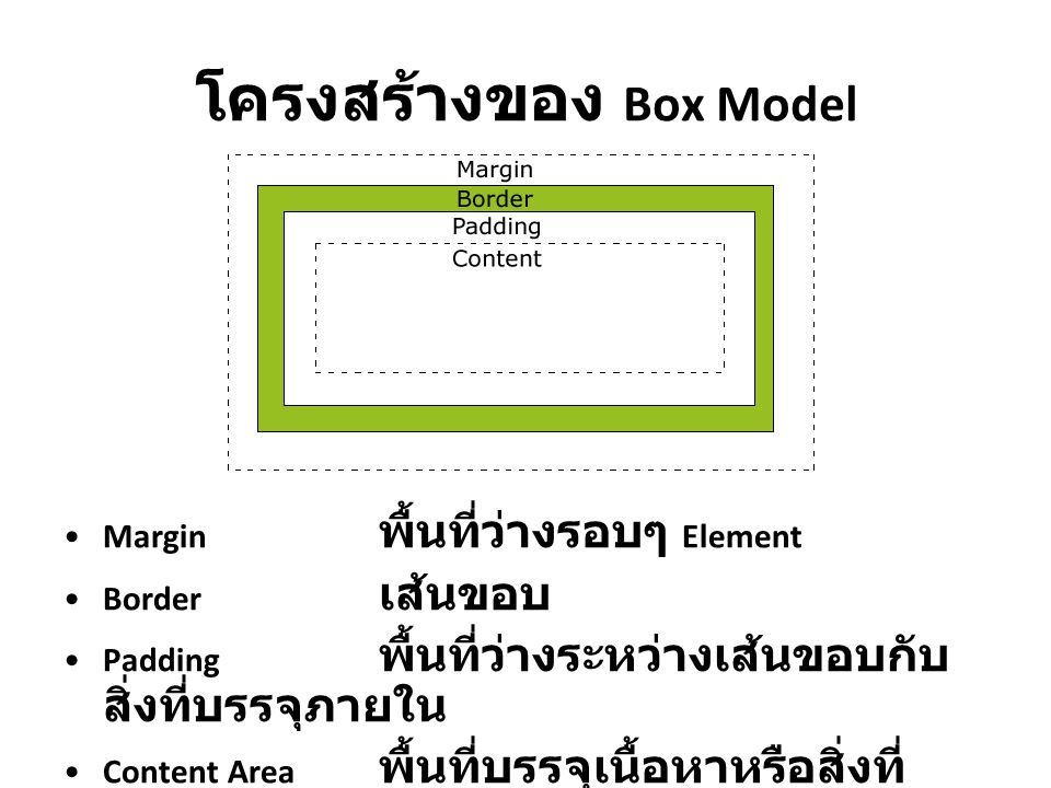 โครงสร้างของ Box Model