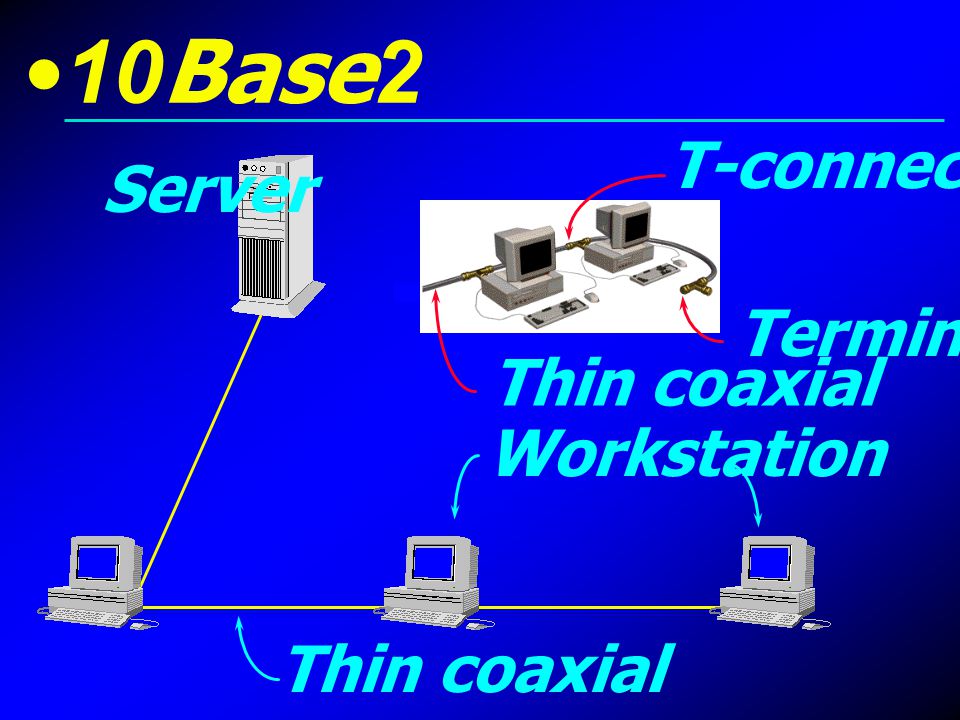 10Base2 T-connector Server Terminator Thin coaxial Workstation