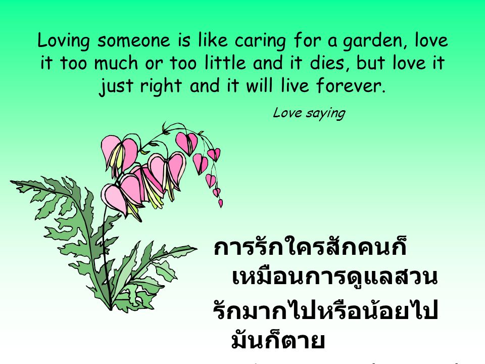 การรักใครสักคนก็เหมือนการดูแลสวน