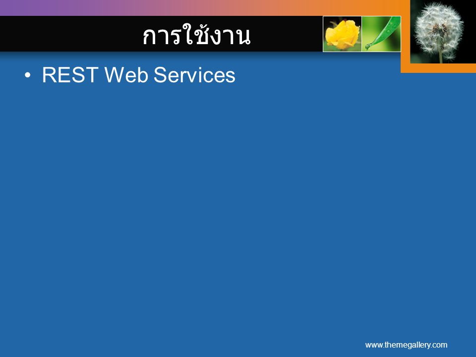 การใช้งาน REST Web Services