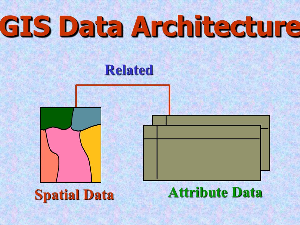 GIS Data Architecture Related Attribute Data Spatial Data
