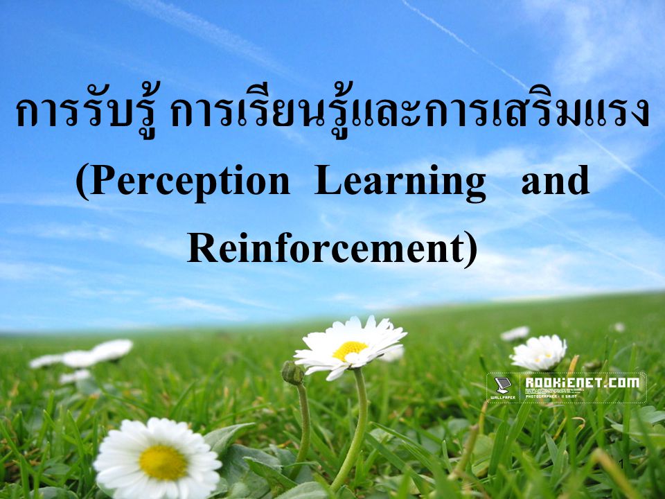 การรับรู้ การเรียนรู้และการเสริมแรง (Perception Learning and Reinforcement)