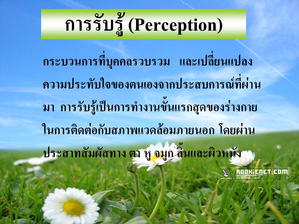การรับรู้ (Perception)