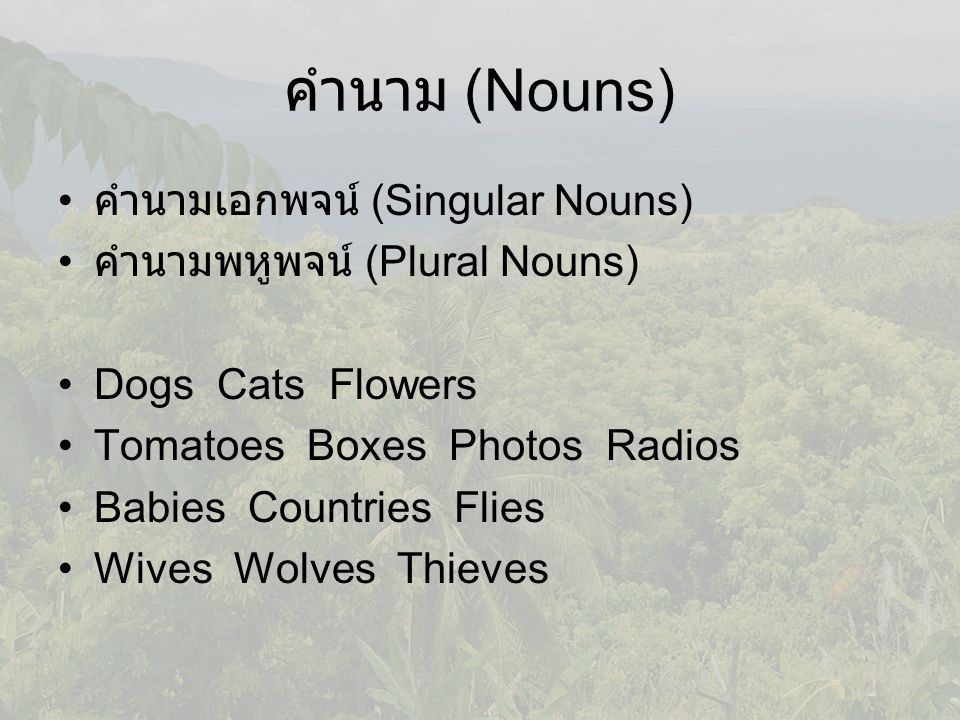 คำนาม (Nouns) คำนามเอกพจน์ (Singular Nouns)