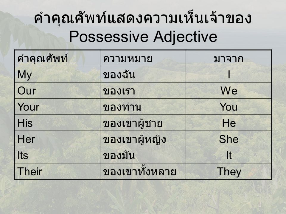 คำคุณศัพท์แสดงความเห็นเจ้าของ Possessive Adjective