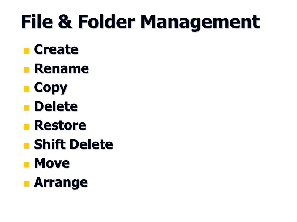 File & Folder Management