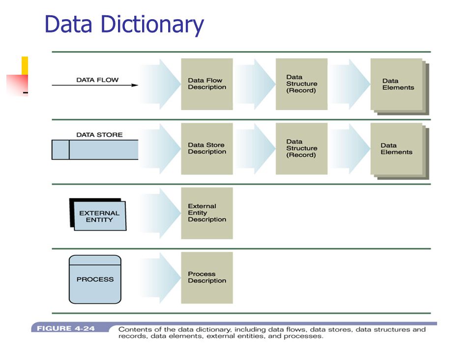 Data Dictionary