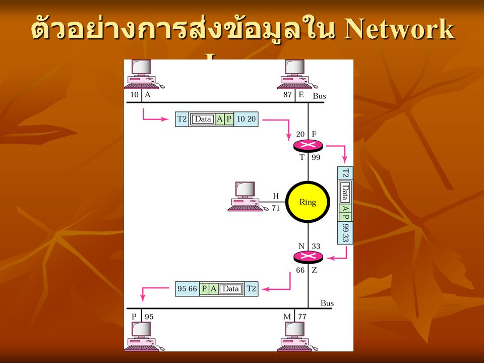 ตัวอย่างการส่งข้อมูลใน Network Layer