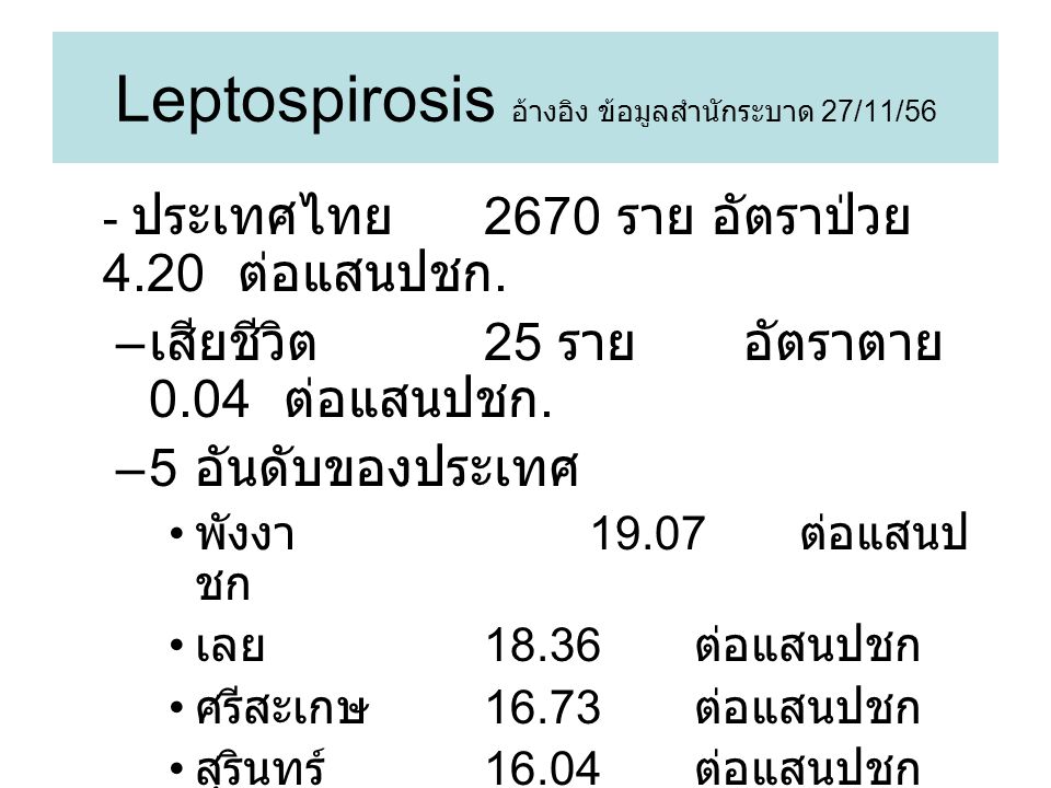 Leptospirosis อ้างอิง ข้อมูลสำนักระบาด 27/11/56