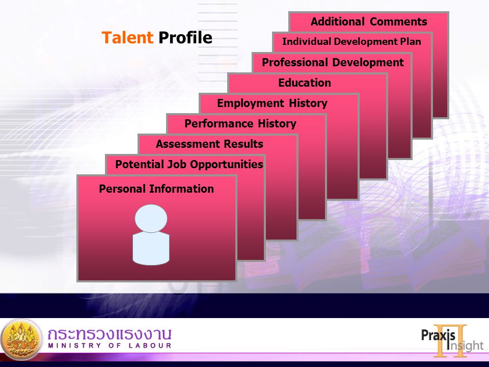 Talent Profile Additional Comments Professional Development Education