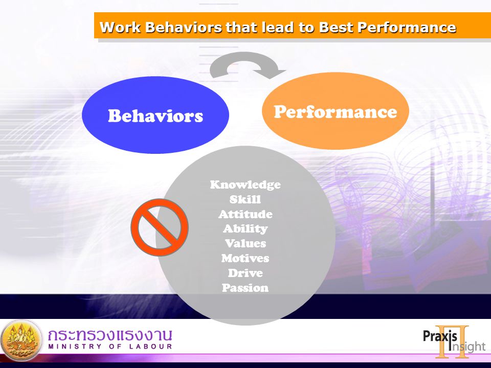 Work Behaviors that lead to Best Performance