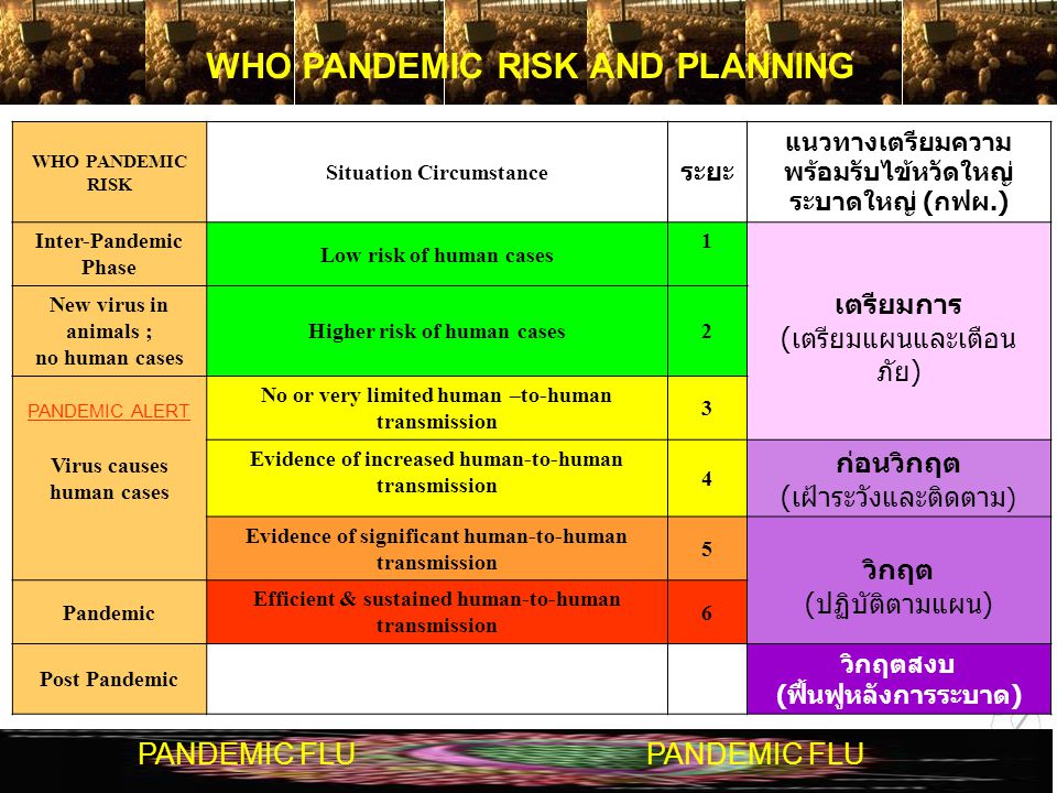 WHO PANDEMIC RISK AND PLANNING