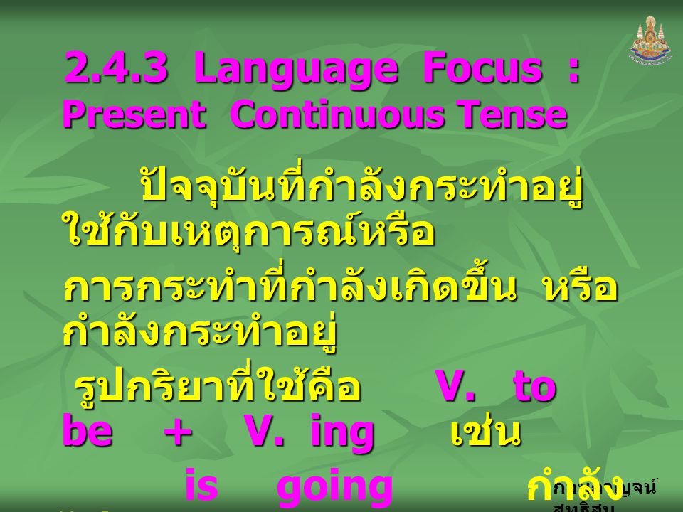 2.4.3 Language Focus : Present Continuous Tense