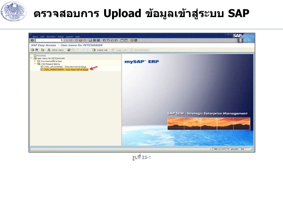 ตรวจสอบการ Upload ข้อมูลเข้าสู่ระบบ SAP