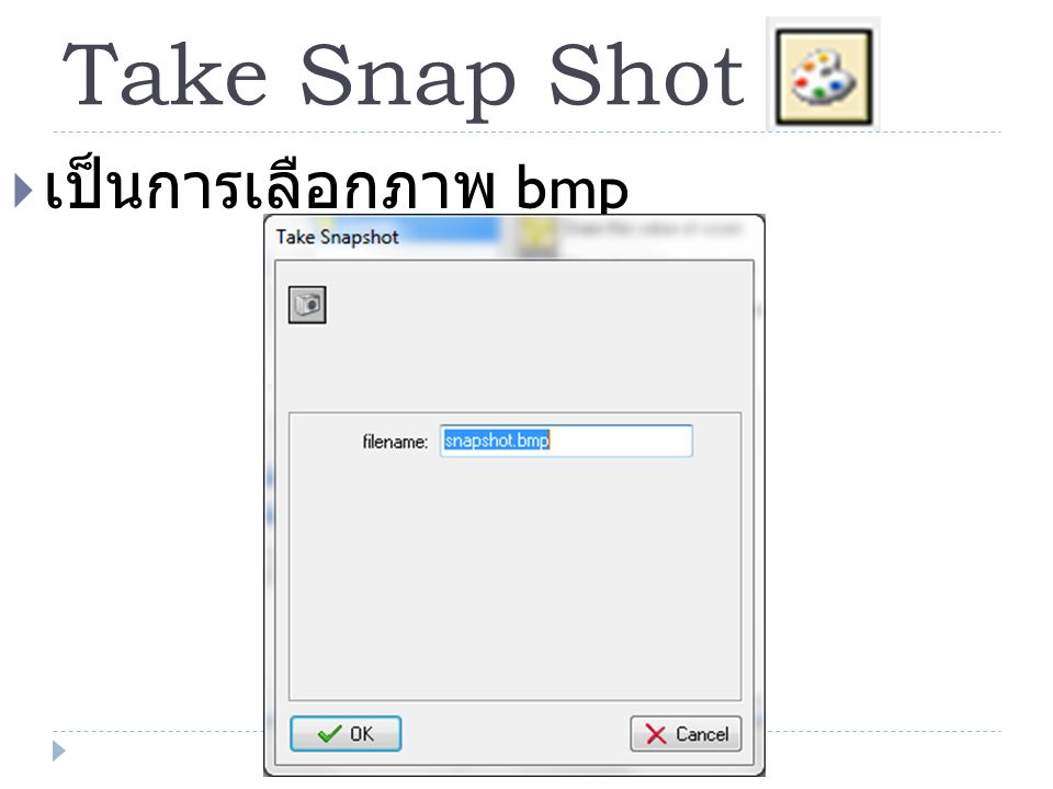 Take Snap Shot เป็นการเลือกภาพ bmp