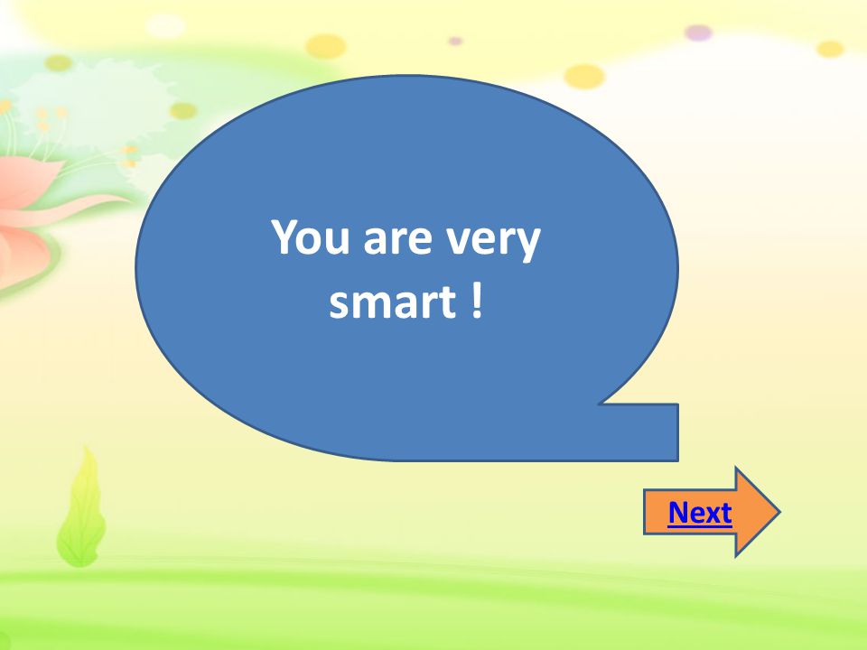 You are very smart ! Next