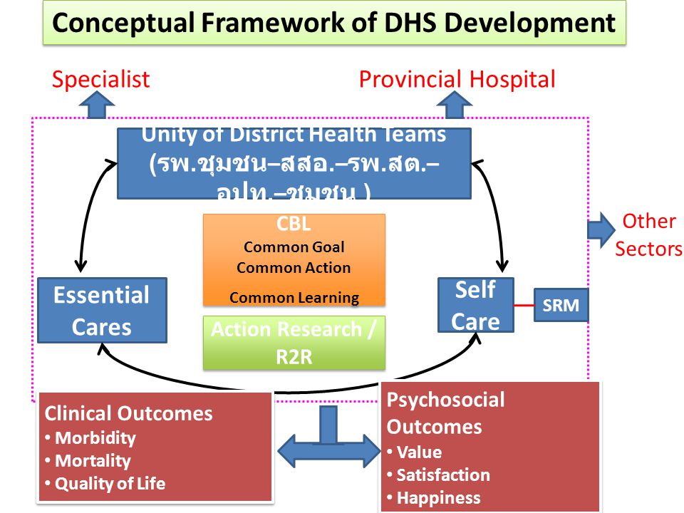 Conceptual Framework of DHS Development
