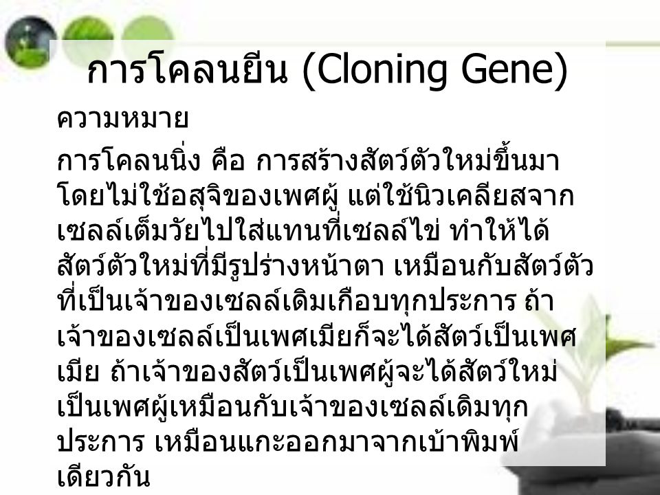 การโคลนยีน (Cloning Gene)