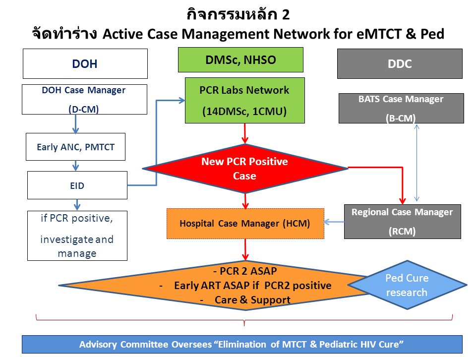 กิจกรรมหลัก 2 จัดทำร่าง Active Case Management Network for eMTCT & Ped HIV Cure