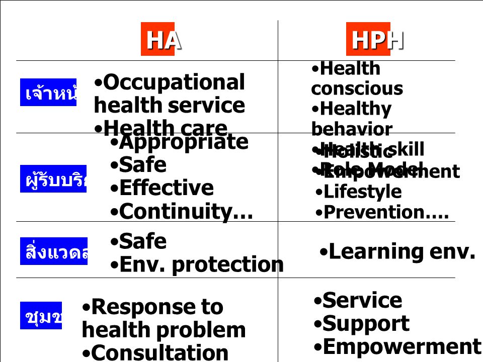HA HPH Occupational health service Health care Appropriate Safe