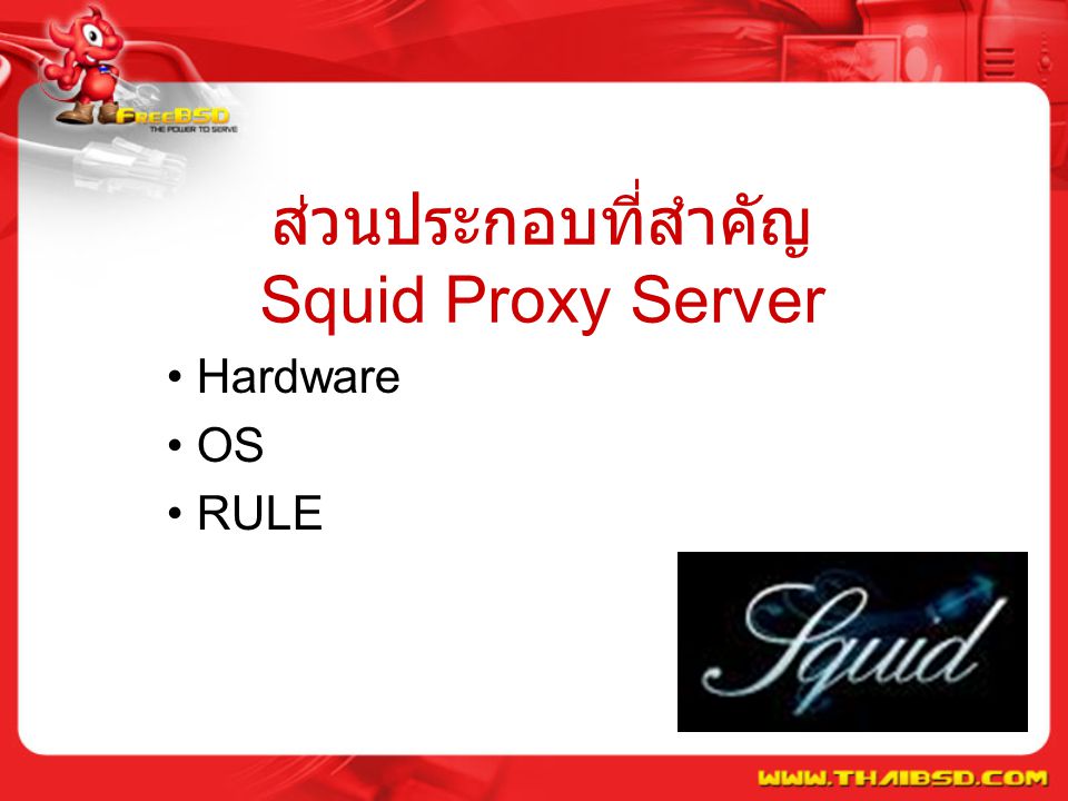 ส่วนประกอบที่สำคัญ Squid Proxy Server