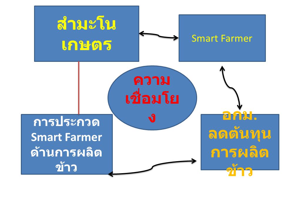 การประกวด Smart Farmer ด้านการผลิตข้าว